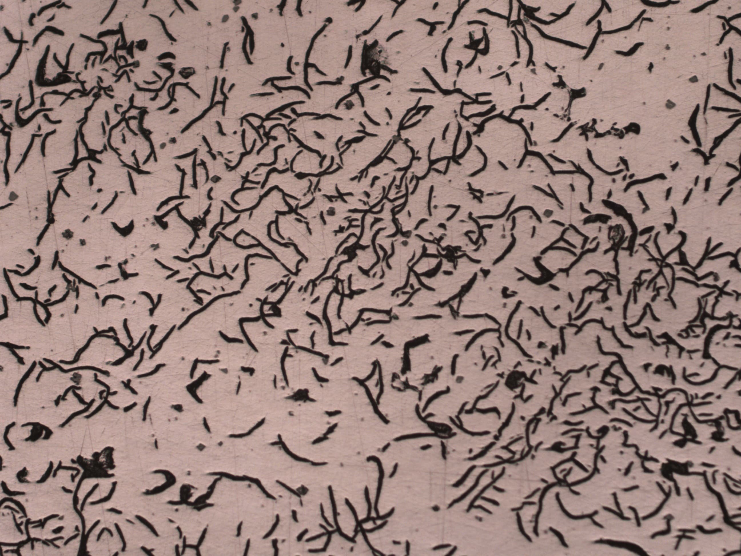 Graphite Flake Analysis